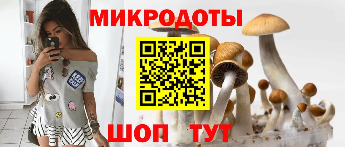 Галлюциногенные грибы Cubensis  Вход с VPN  Батайск 